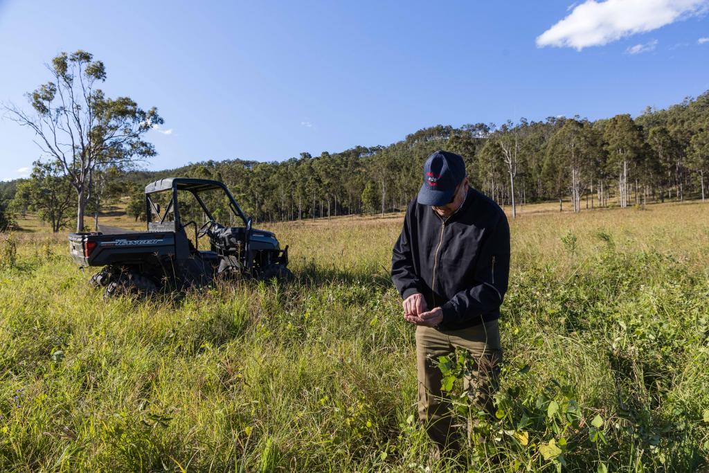 Contact Agent For Address, Ottaba, QLD 4313