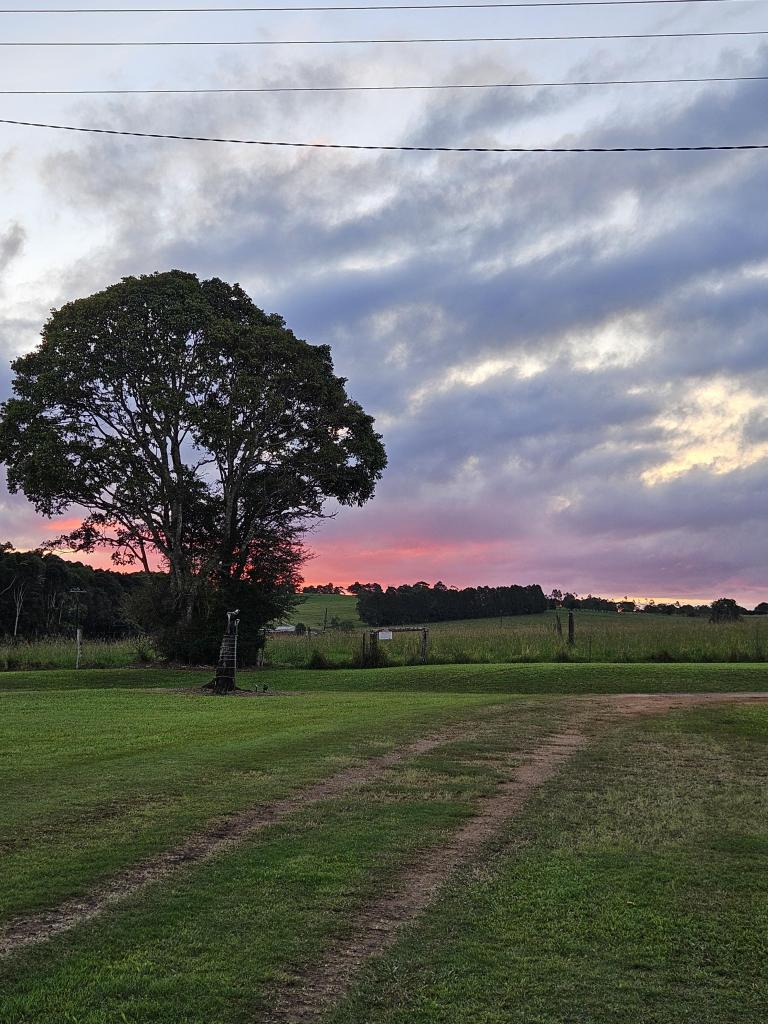 71 Varley Rd, Malanda, QLD 4885