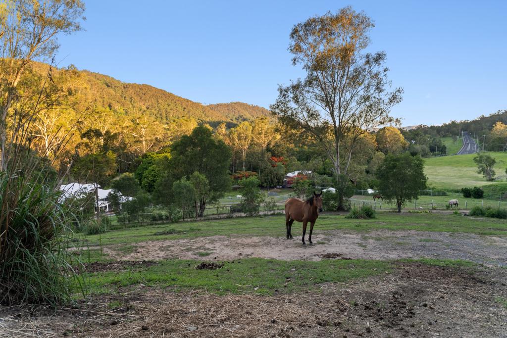 4 Coonardoo Ct, Wongawallan, QLD 4210