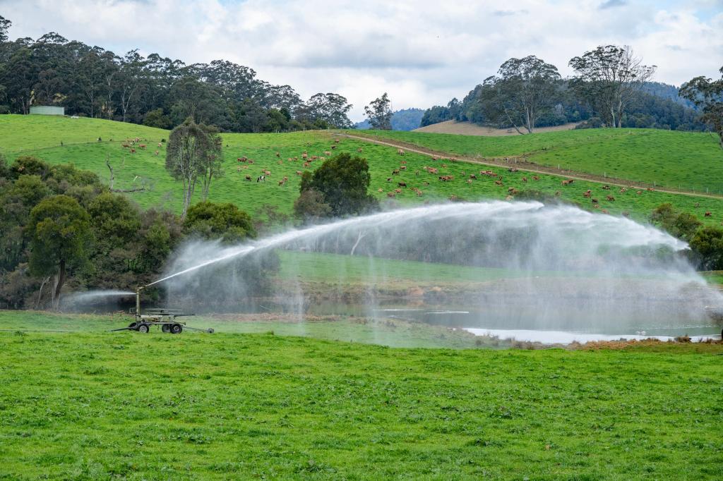 1431 Coramba Rd, Dorrigo, NSW 2453