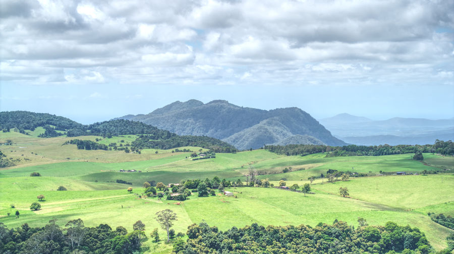 Contact Agent For Address, Dorrigo Mountain, NSW 2453