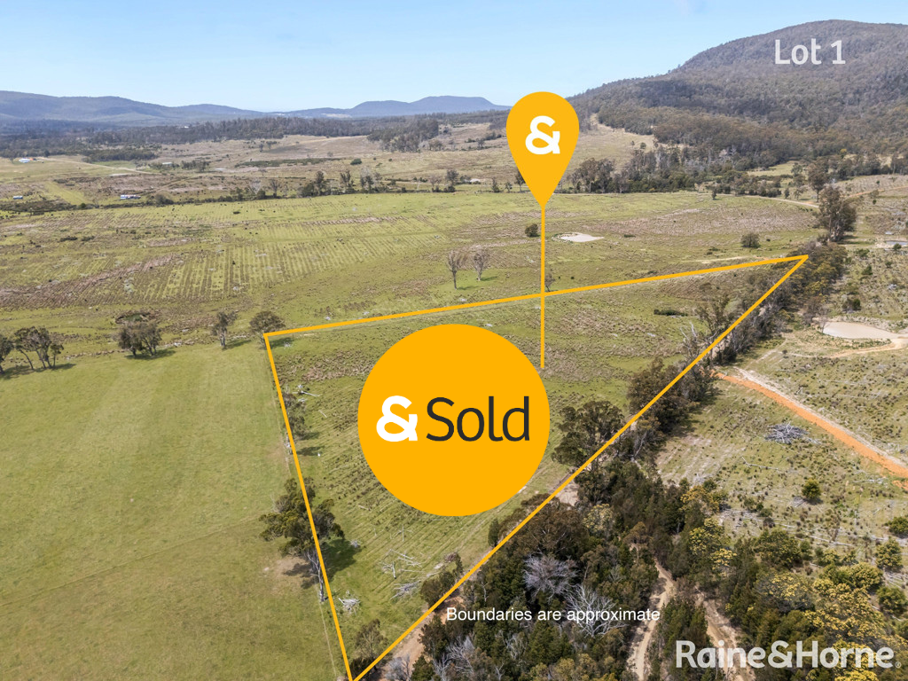 Lots 2 & 3 Rosedale Rd, Bicheno, TAS 7215