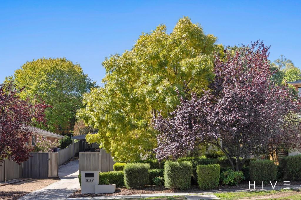 107 Jim Pike Ave, Gordon, ACT 2906