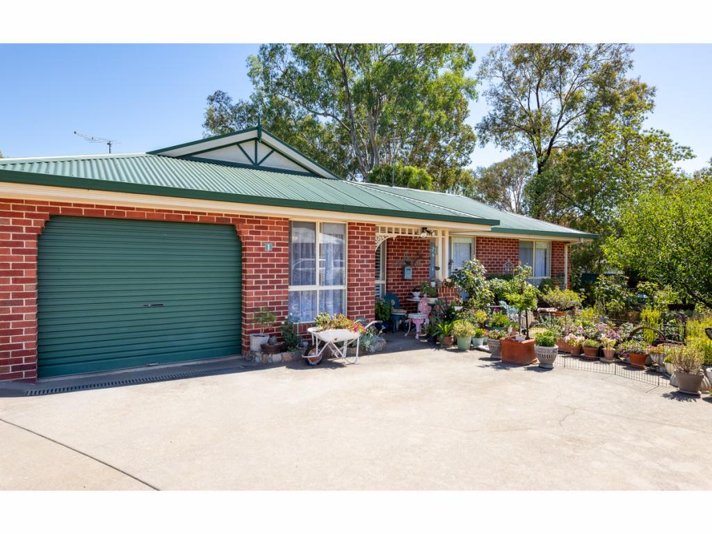 1/495 ROSE ST, LAVINGTON, NSW 2641