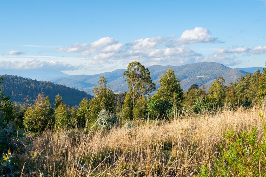 Lot 6 Paddys Lane, Franklin, TAS 7113