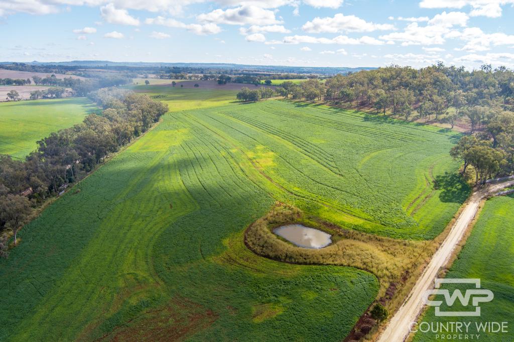 1036 Rob Roy Rd, Mount Russell, NSW 2360