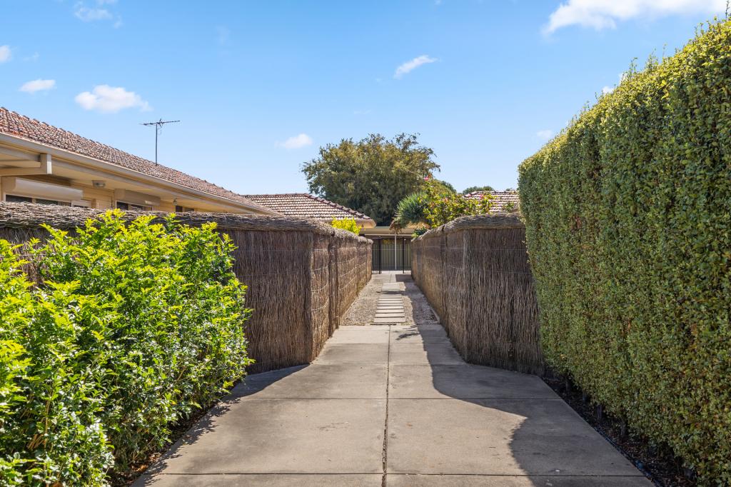 3/41 Shierlaw St, Richmond, SA 5033
