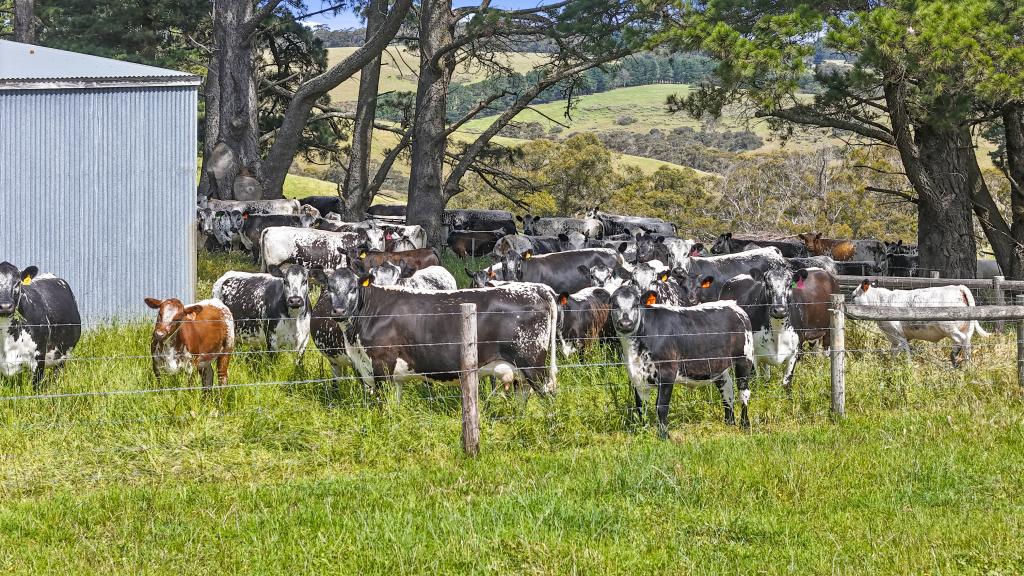 137 Faggotter Rd, Myponga, SA 5202