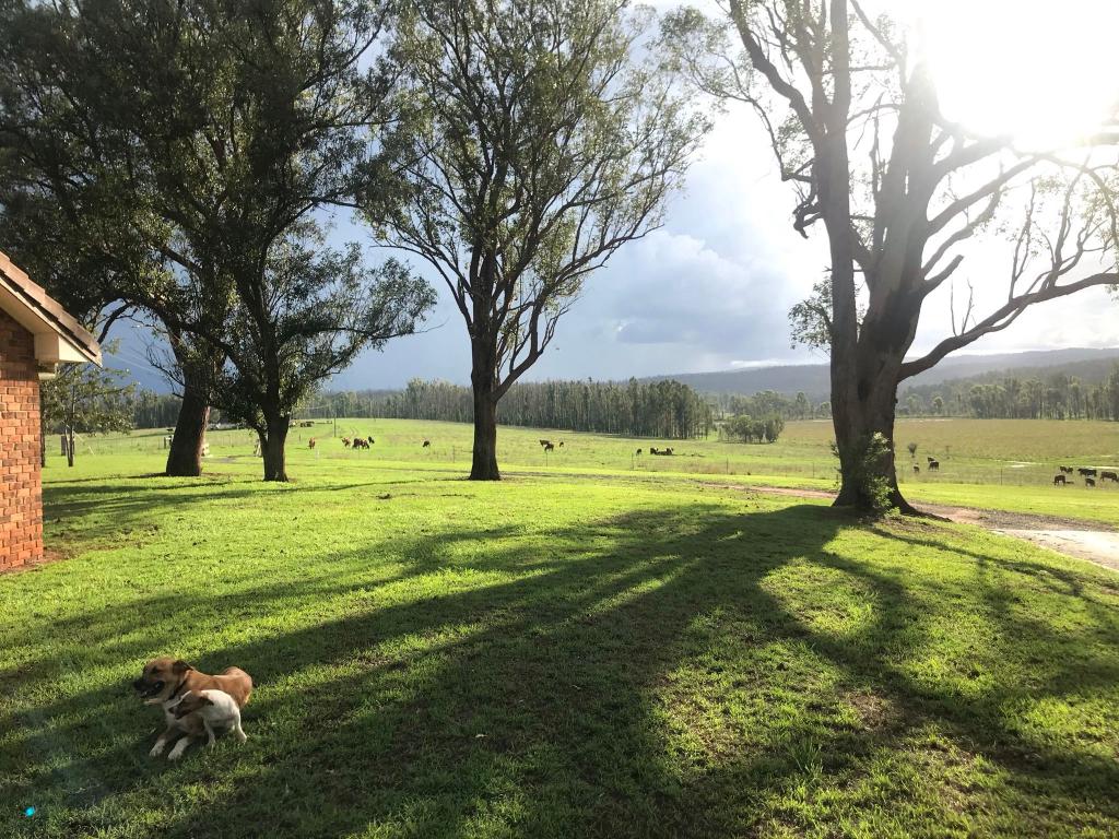 Contact agent for address, WYAN, NSW 2469