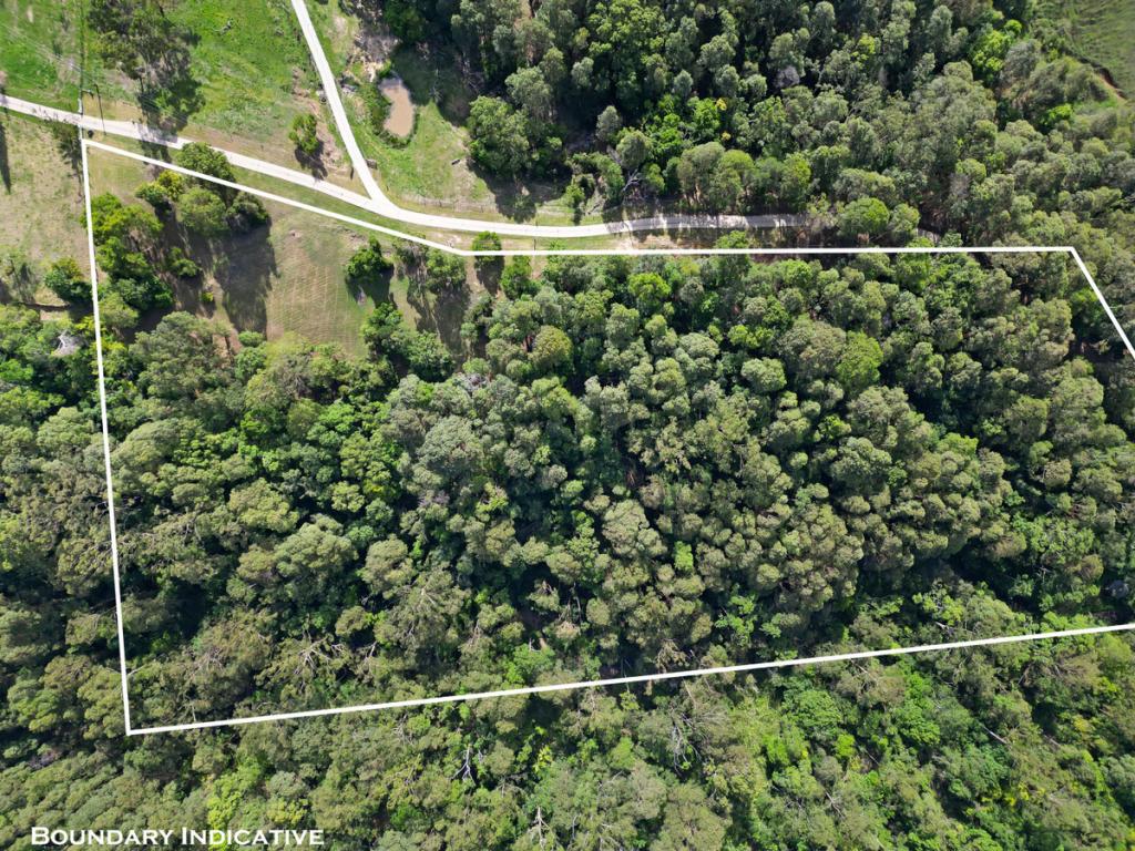 LOT 22 PETSCH CREEK RD, TALLEBUDGERA VALLEY, QLD 4228