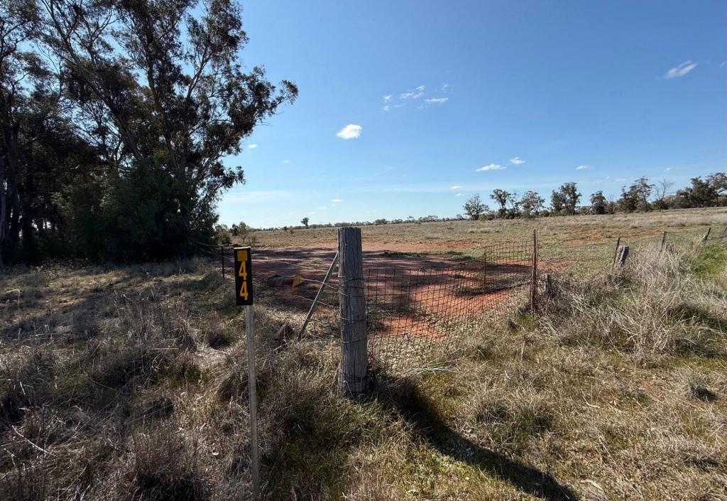 44 Dows Lane, Peak Hill, NSW 2869