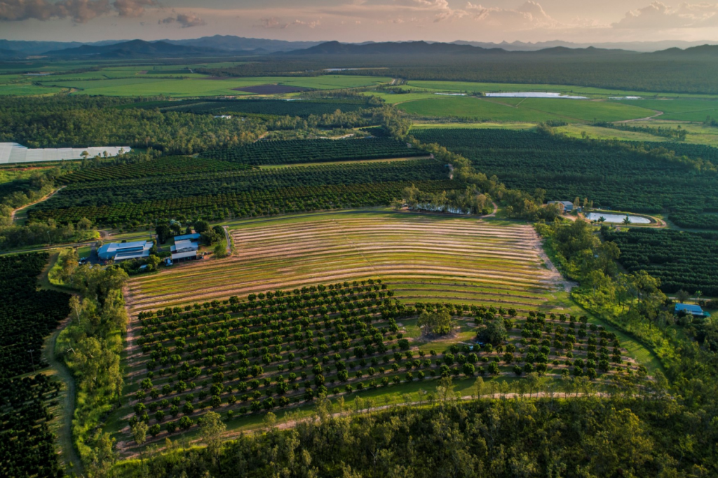 72 Mcbean Rd, Arriga, QLD 4880