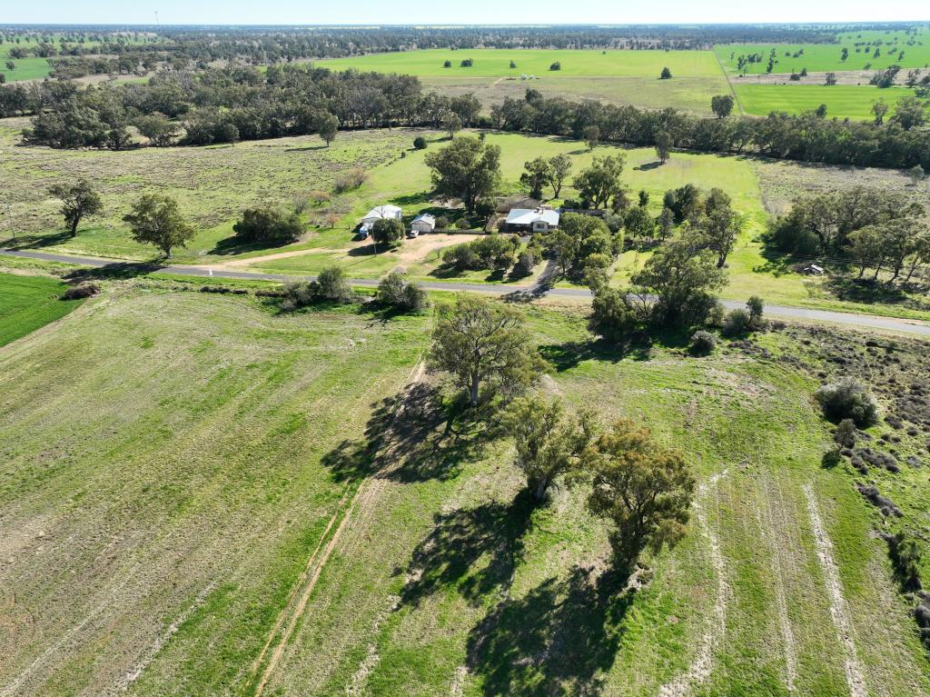 'Sunshine' 52 Sunshine Rd, Collie, NSW 2827