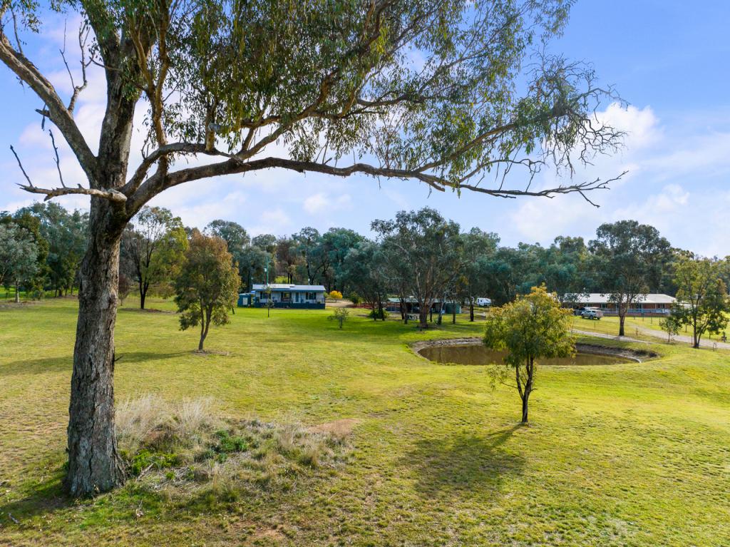 230 Conimbla Rd, Cowra, NSW 2794