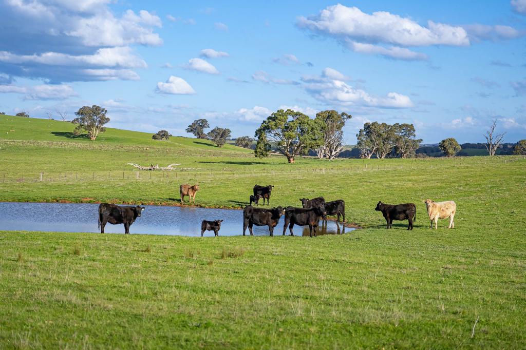 680 Fish River Road Narrawa Via, Crookwell, NSW 2583