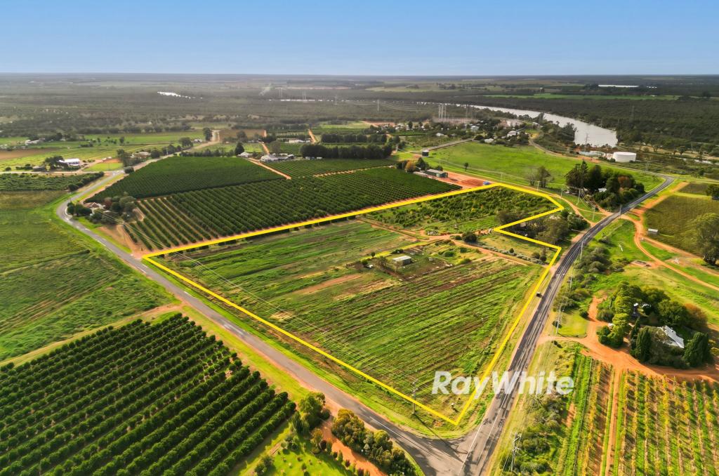 239 Pumps Rd, Red Cliffs, VIC 3496