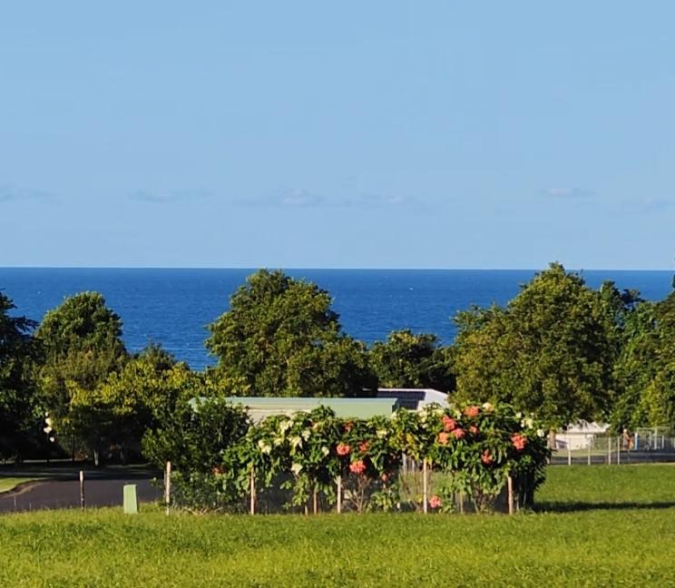 13 Unsworth Dr, Mission Beach, QLD 4852