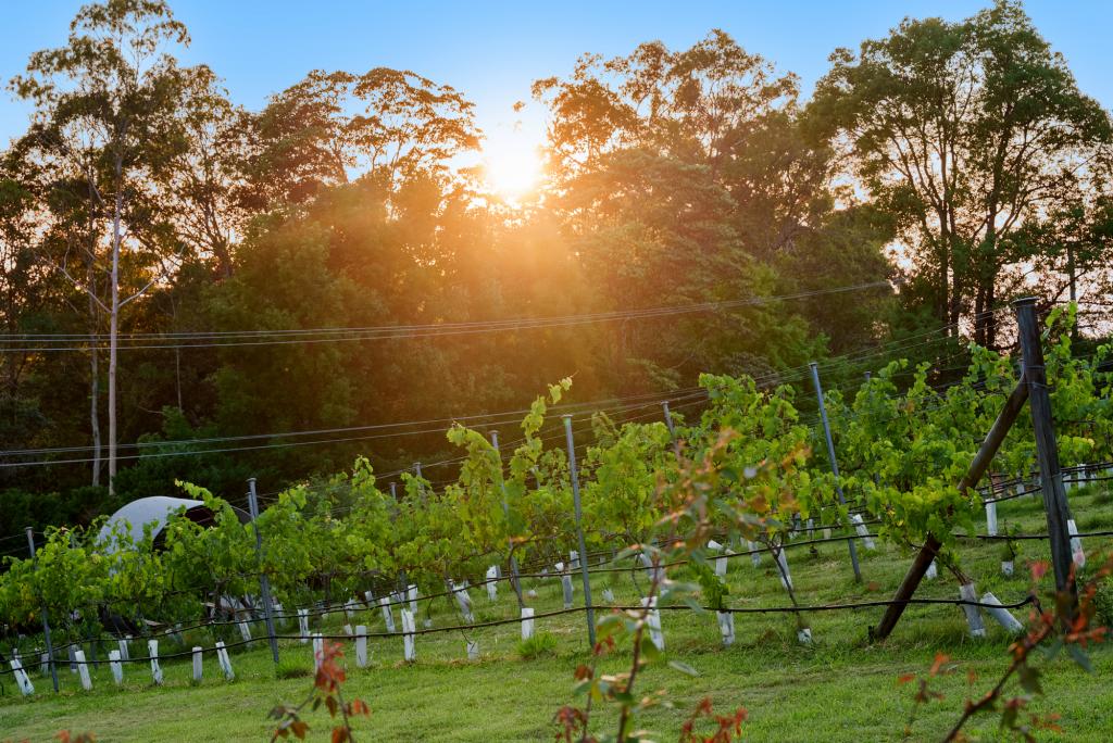 416 Dulong Rd, Dulong, QLD 4560