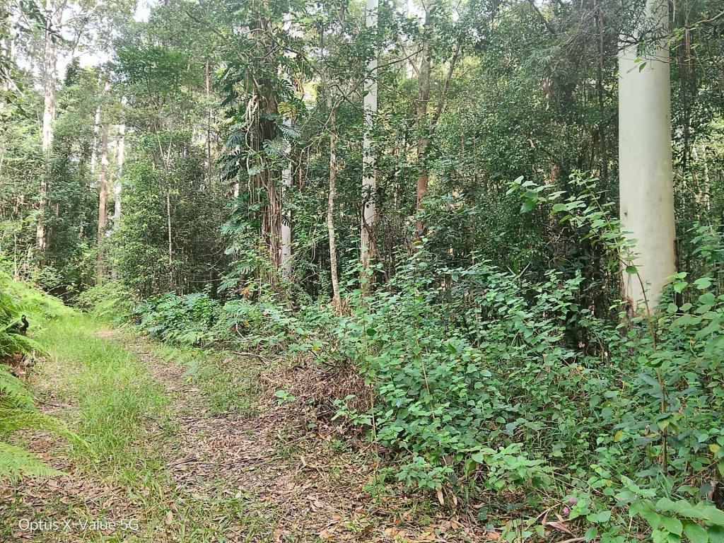 Lot 8/399 Browns Creek Rd, Bridges, QLD 4561