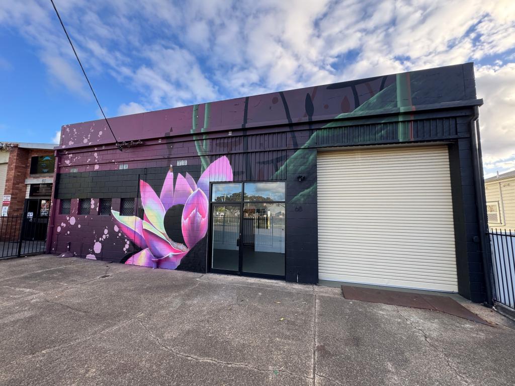 68 Fern St, Islington, NSW 2296