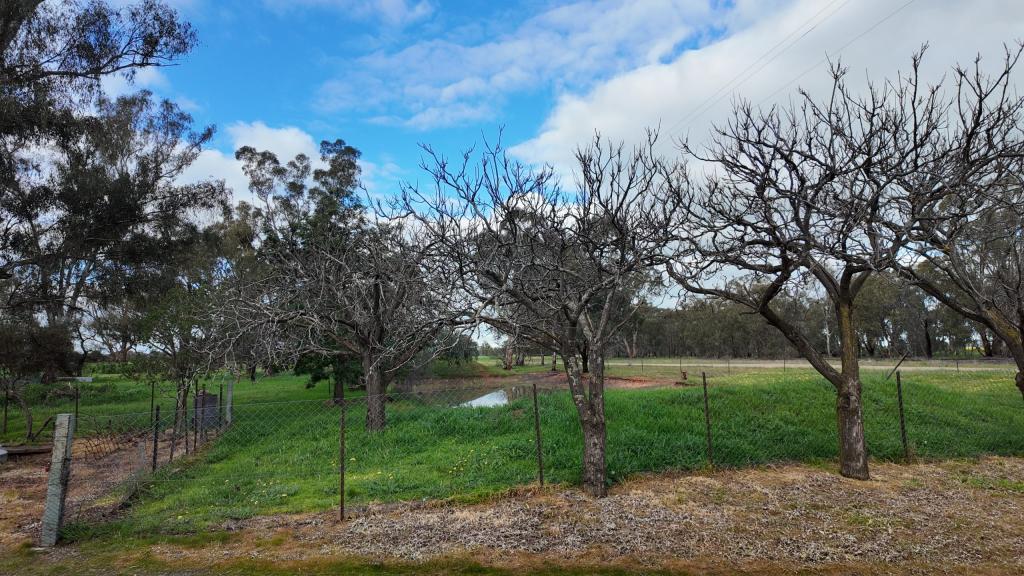 2362 Albury Rd, Urangeline East, NSW 2656