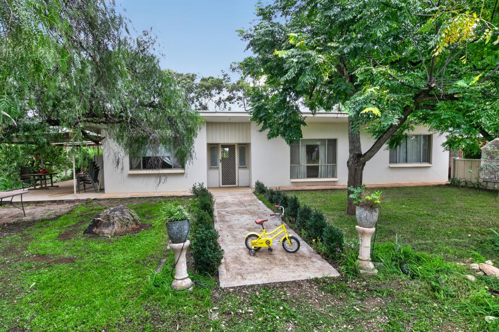 32 Higgins Rd, Buchfelde, SA 5118