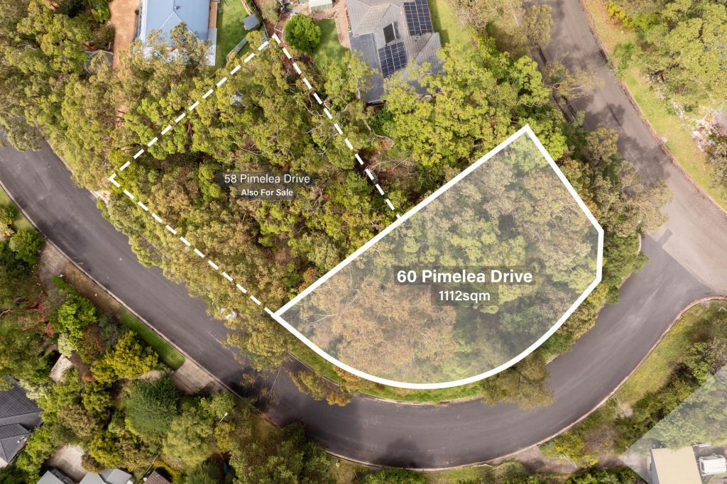 60 PIMELEA DR, WOODFORD, NSW 2778