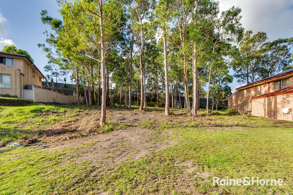 19 Ceylon Cl, Cameron Park, NSW 2285