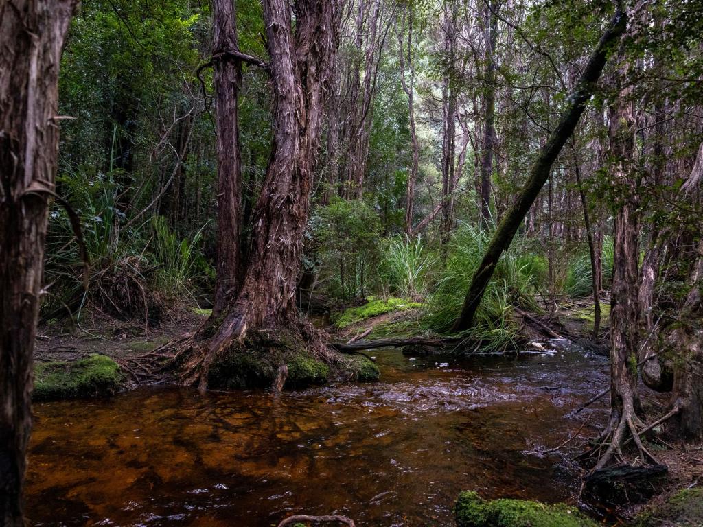 Lot 1 Loyotea Rd, Loyetea, TAS 7316