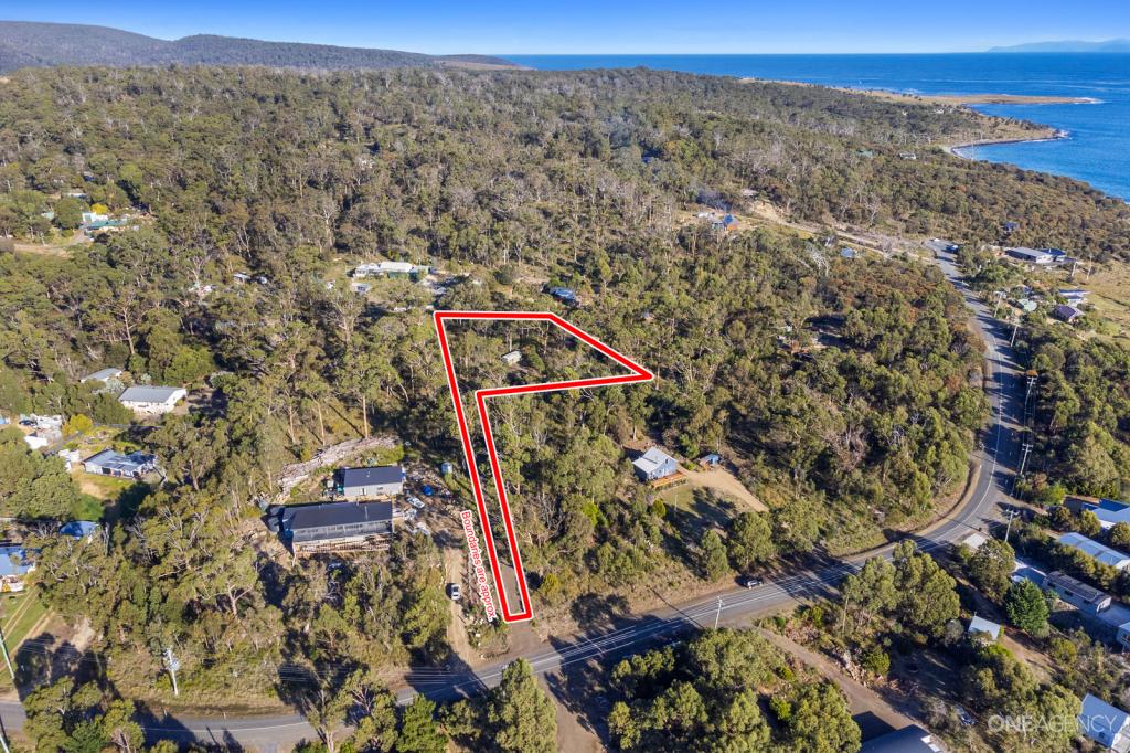 573 White Beach Rd, White Beach, TAS 7184