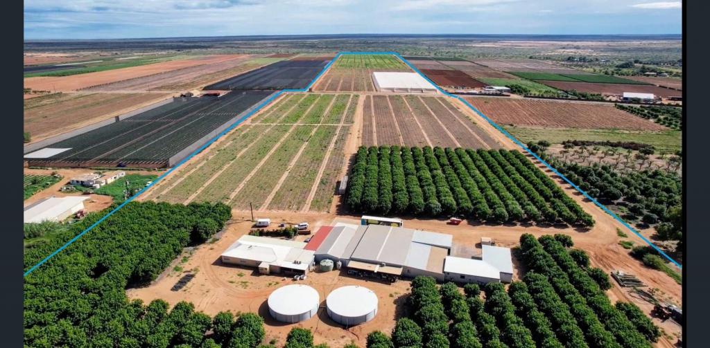 137 & 138 NORTH RIVER RD, CARNARVON, WA 6701
