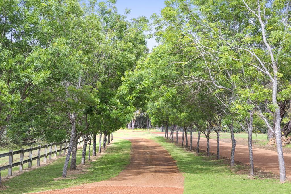 Pl 241/29 Eucalyptus Ct, Margaret River, WA 6285