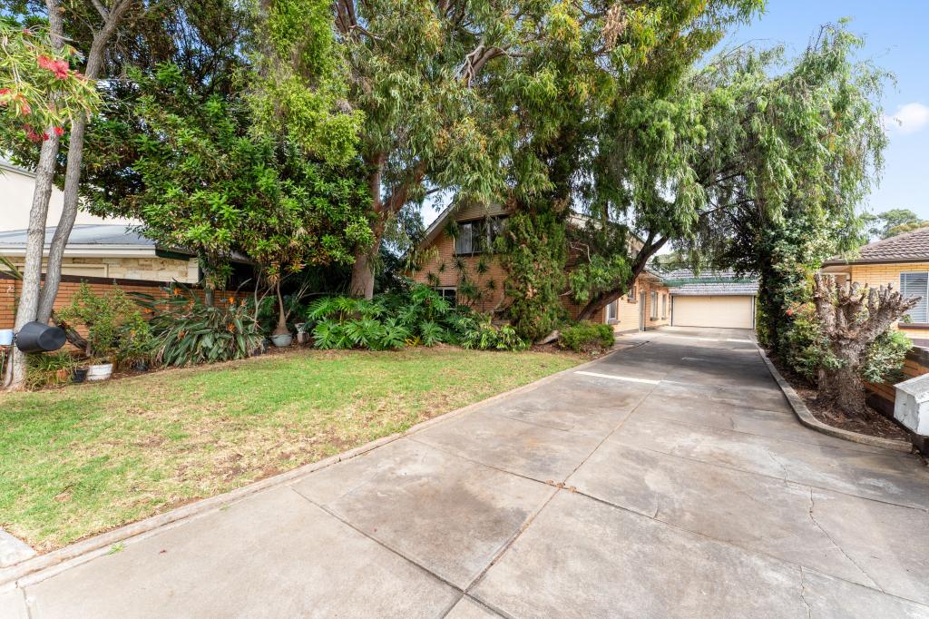 19 Dartmoor St, Lockleys, SA 5032
