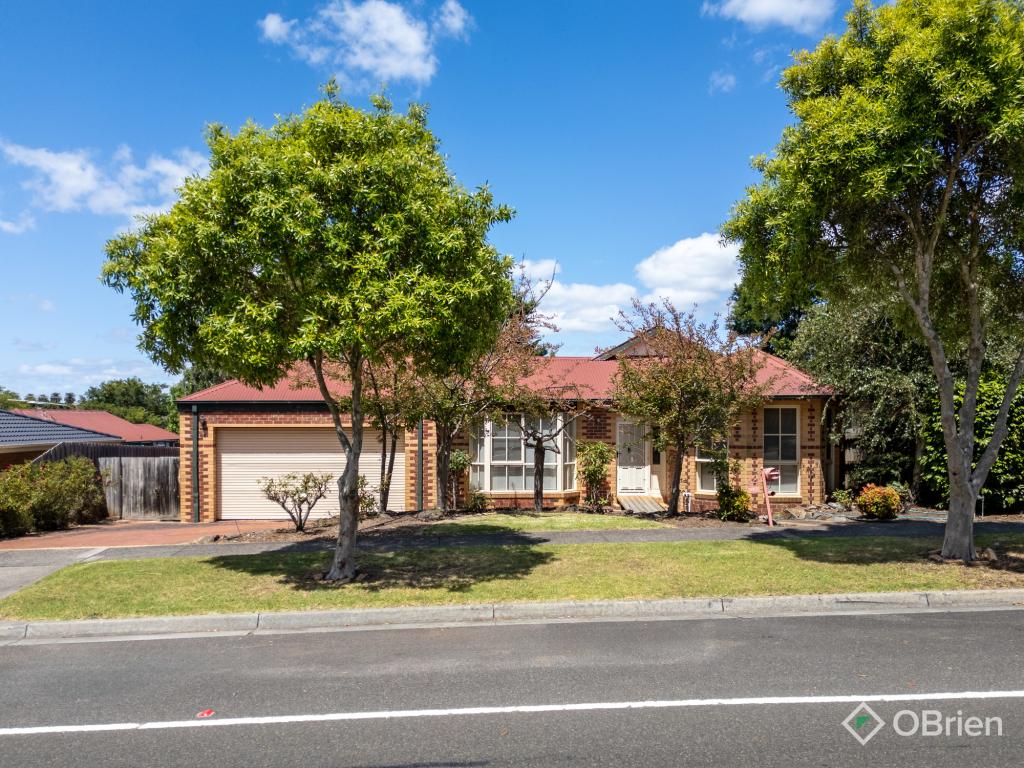 157 Bemersyde Dr, Berwick, VIC 3806