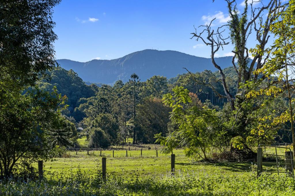 342 Upper Crystal Creek Rd, Upper Crystal Creek, NSW 2484