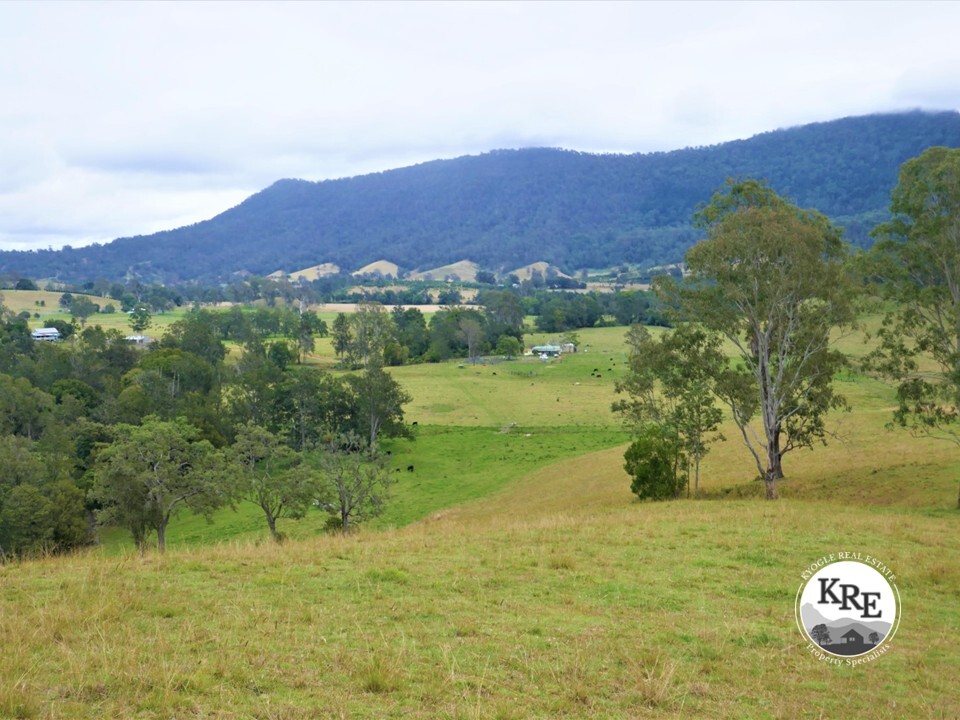 35 Phelps Rd, Green Pigeon, NSW 2474