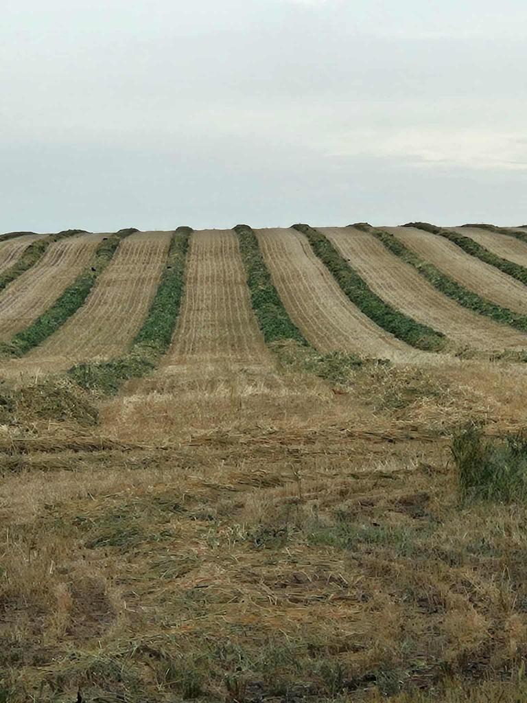 000 LOWER NORTON-NURRABIEL RD, LOWER NORTON, VIC 3401