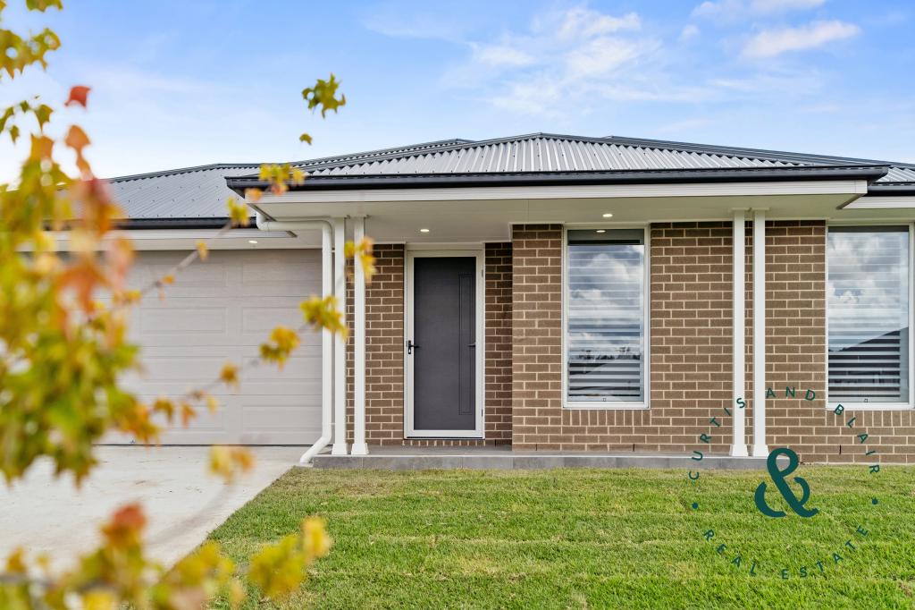 15 Midnight Ave, Medowie, NSW 2318