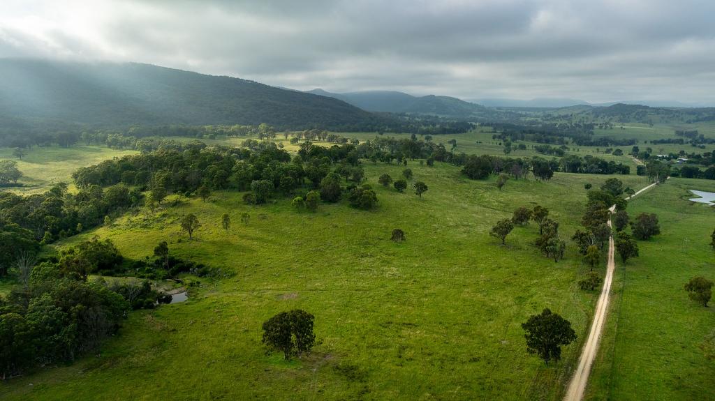 1259 Bald Rock Rd, Tenterfield, NSW 2372