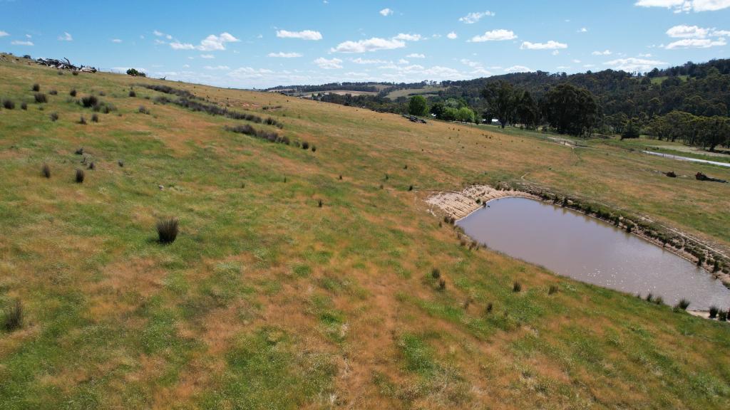 580 Batlow Rd, Tumbarumba, NSW 2653