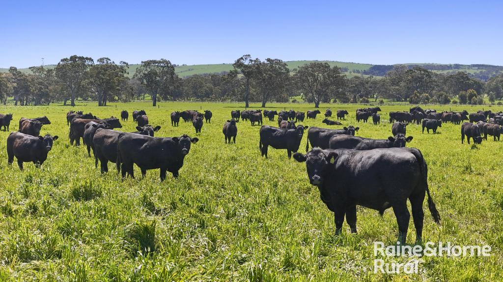 160 Rowley Rd, Myponga, SA 5202