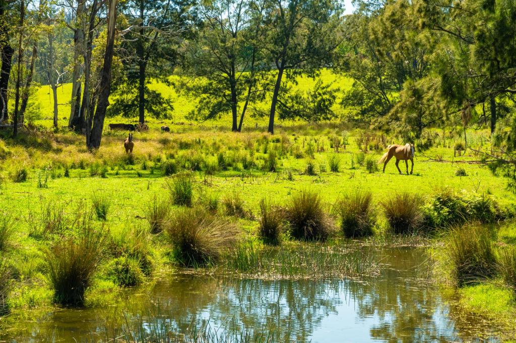 18 Waincourt Rd, Eurobodalla, NSW 2545