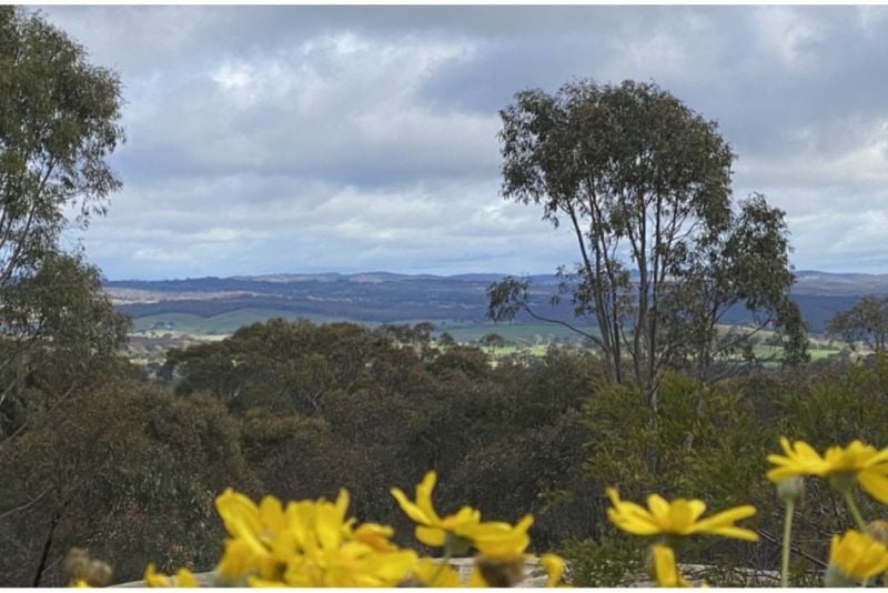 Contact Agent For Address, Gundaroo, NSW 2620