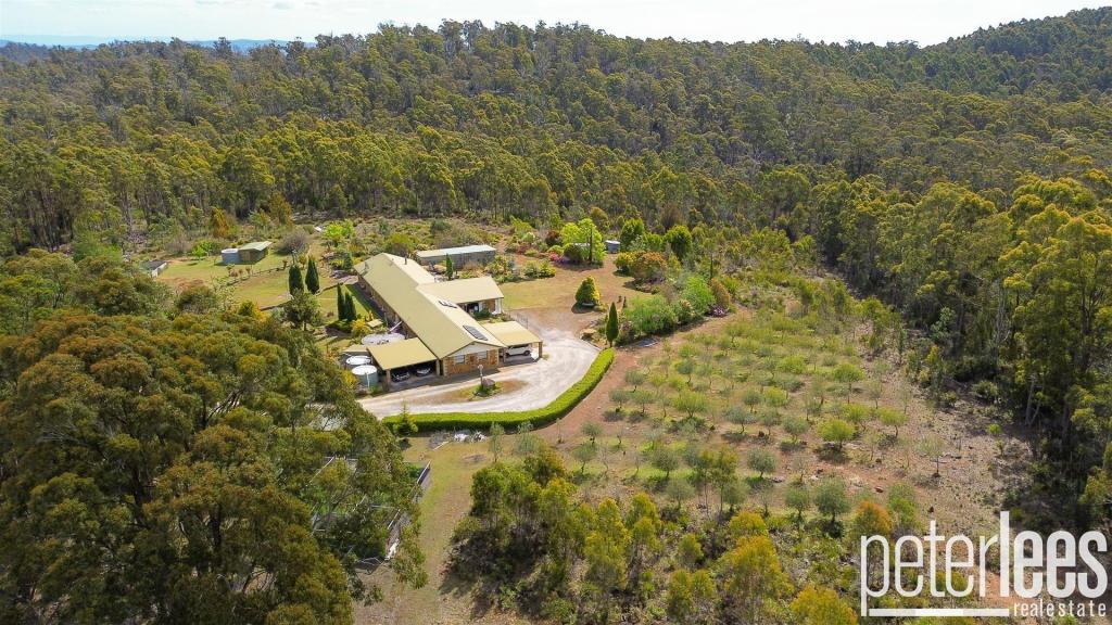 425 Pipers River Rd, Turners Marsh, TAS 7267