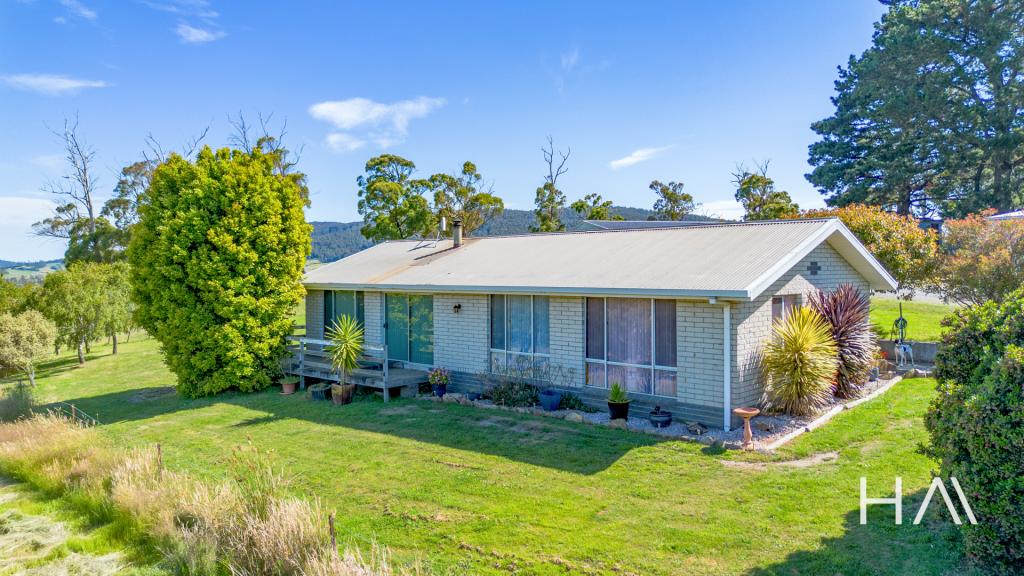 17 The Glen Rd, Pipers River, TAS 7252