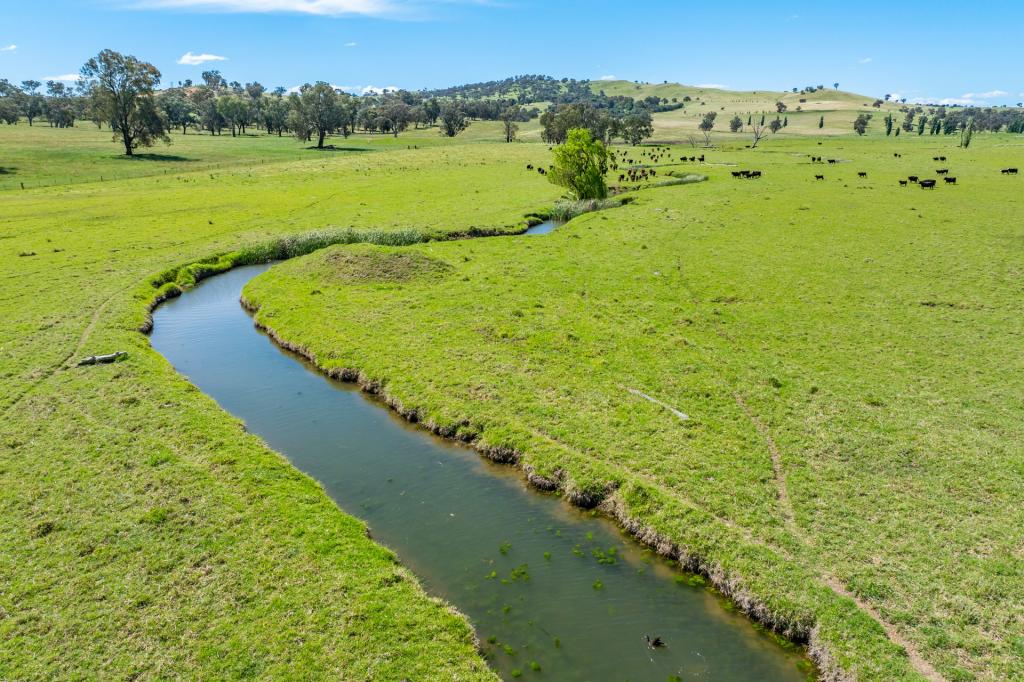 907b Darbys Falls Rd, Cowra, NSW 2794