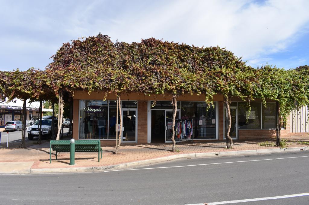 21 William St, Berri, SA 5343