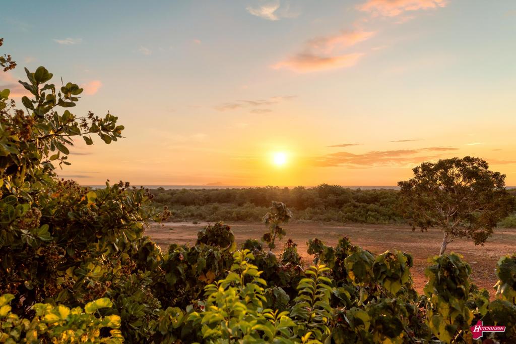 Lot 103 Lawrence Rd, Waterbank, WA 6725