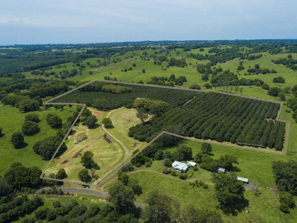 148 Humpty Back Rd, Mcleans Ridges, NSW 2480