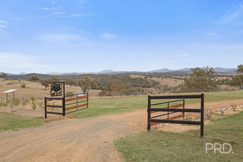 76 Ray Carter Dr, Quirindi, NSW 2343
